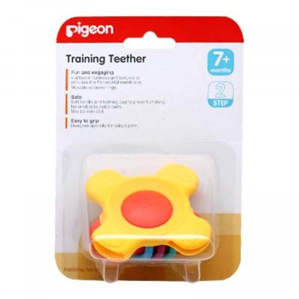 Training Teeth Development Teether Step2