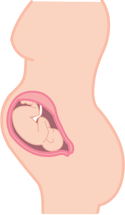 Pregnancy Breast Care Tips - Pigeon